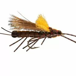 Far Bank Enterprises RIO's Morrish Fluttering Stone