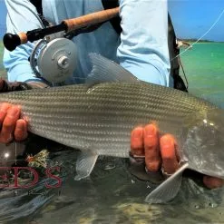 Red's Fly Shop Top 12 Bonefish Flies // Deadly Dozen Assortment