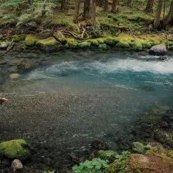 Far Bank Enterprises Sage DART - Small Water Fly Rod -LINES & LEADERS Store 35acf459 fb69 4837 86a9 5a133440615f