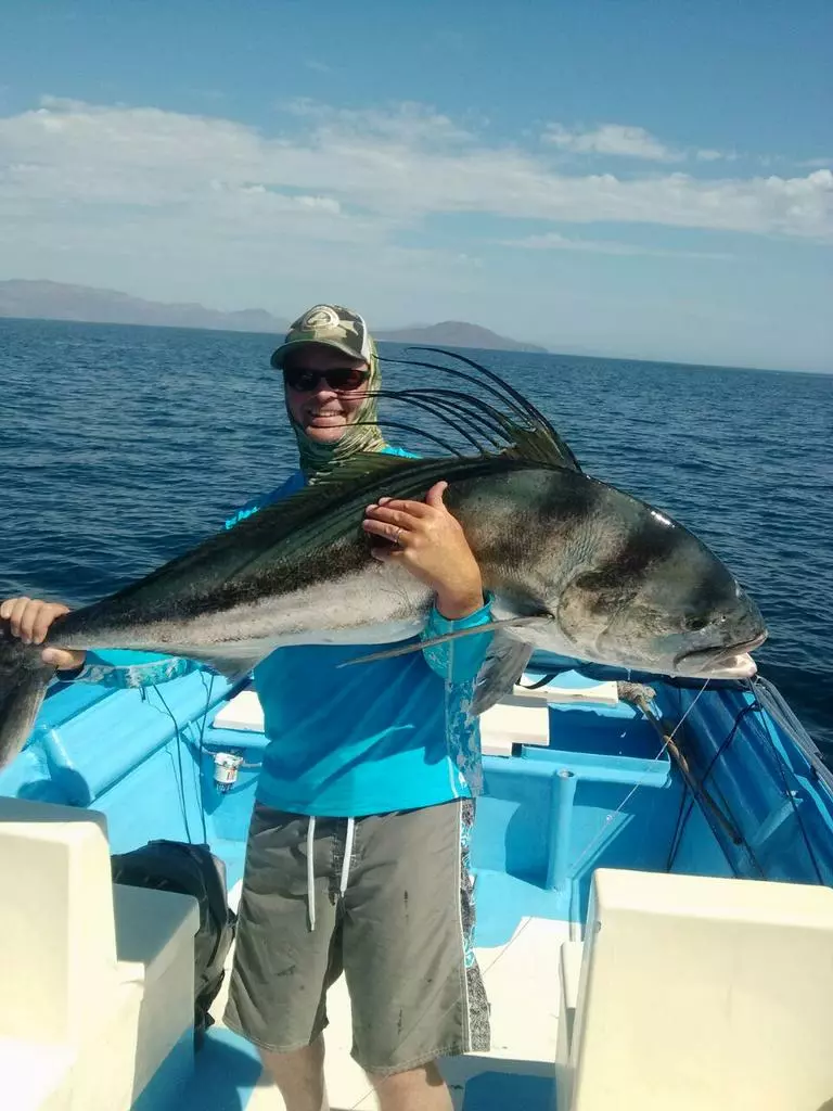 Red's Fly Shop Top 12 Roosterfish & Dorado Flies // Deadly Dozen Assortment 4 Red's Fly Shop Top 12 Roosterfish & Dorado Flies // Deadly Dozen Assortment - Image 2