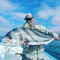 Red's Fly Shop Top 12 Roosterfish & Dorado Flies // Deadly Dozen Assortment 15 Red's Fly Shop Top 12 Roosterfish & Dorado Flies // Deadly Dozen Assortment -LINES & LEADERS Store 51300551631 33f1f96e5e k