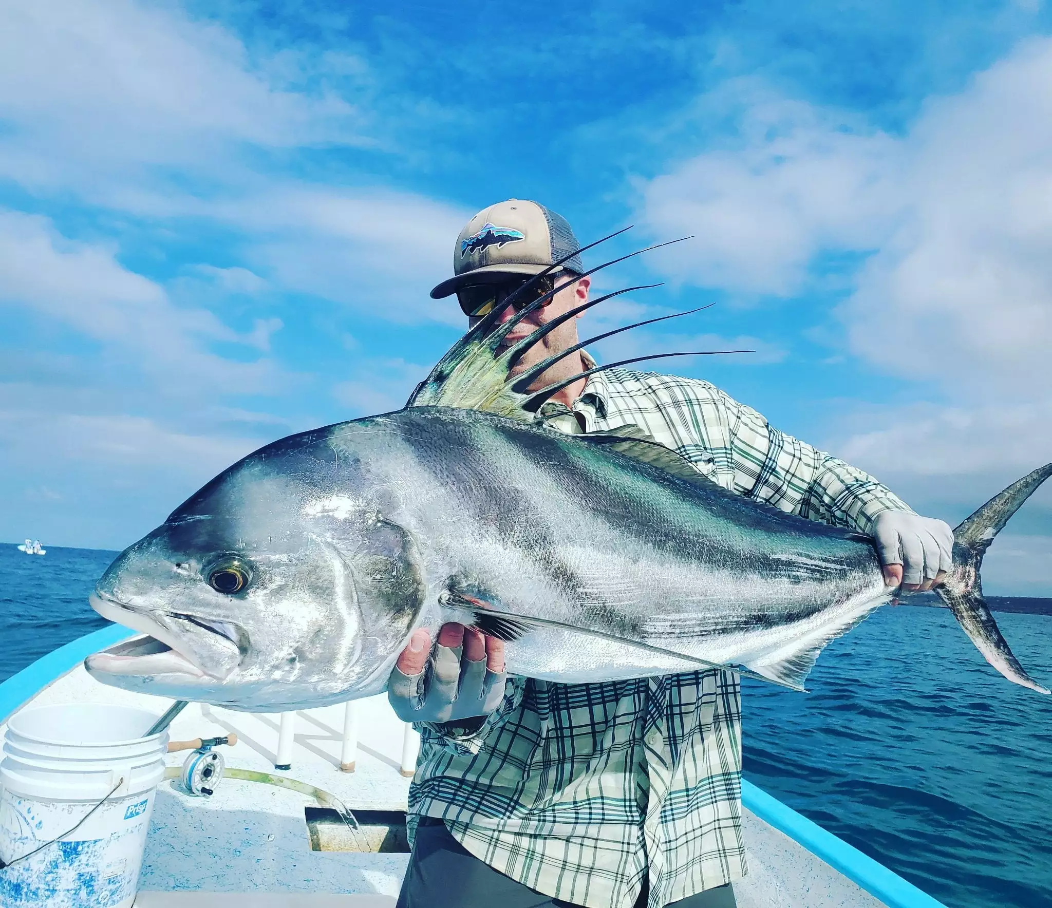 Red's Fly Shop Top 12 Roosterfish & Dorado Flies // Deadly Dozen Assortment 9 Red's Fly Shop Top 12 Roosterfish & Dorado Flies // Deadly Dozen Assortment - Image 7