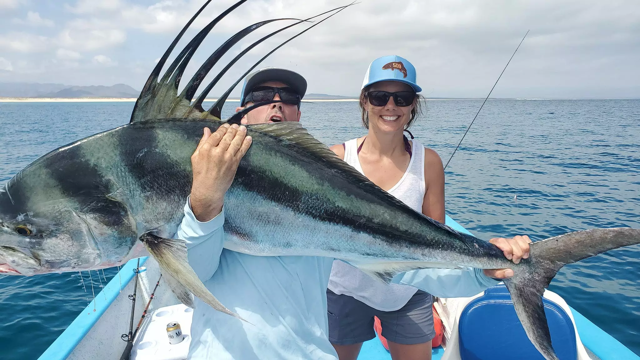 Red's Fly Shop Top 12 Roosterfish & Dorado Flies // Deadly Dozen Assortment 3 Red's Fly Shop Top 12 Roosterfish & Dorado Flies // Deadly Dozen Assortment