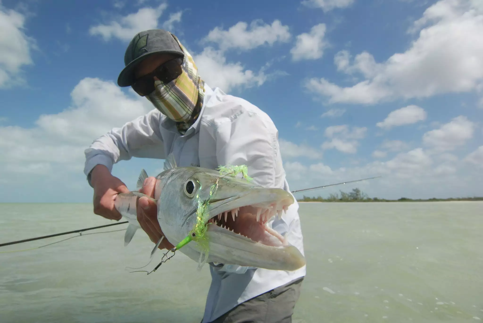Cuda Snack By Fulling Mill // Barracuda Fly 5 Cuda Snack By Fulling Mill // Barracuda Fly - Image 3
