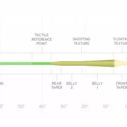 LINES & LEADERS Store -LINES & LEADERS Store AMP MPX 1