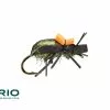 Far Bank Enterprises RIO's Ground Beetle // Great Cantaria Beetle For Patagonia 1 Far Bank Enterprises RIO's Ground Beetle // Great Cantaria Beetle For Patagonia -LINES & LEADERS Store Beetle