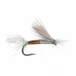 E/C Caddis Cutter Dry Fly By Umpqua