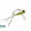 Far Bank Enterprises RIO's Foam Slice Frog // Bass Fly -LINES & LEADERS Store Flies Freshwater Warmwater RIO sFoamSliceFrog Olive scaled