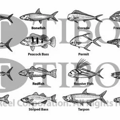 Tibor Reels Tibor Gulfstream Reel 11/12/13 - Saltwater Reel 21 Tibor Reels Tibor Gulfstream Reel 11/12/13 - Saltwater Reel -LINES & LEADERS Store Gamefish d9779cdd 07ad 4dba bb37 add881eee6be