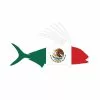 Mykiss Mexico Roosterfish Sticker 2 Mykiss Mexico Roosterfish Sticker -LINES & LEADERS Store MexicoRoosterfish 01