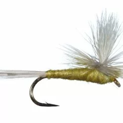 Parachute Pale Morning Dun By Solitude