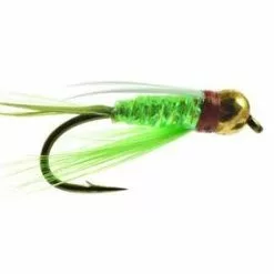 Pepe TDF Prince By Umpqua