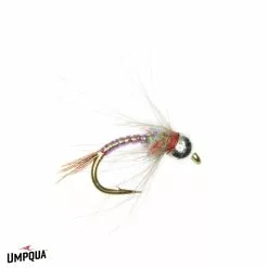 Rainbow Warrior CDC By Umpqua // Tungsten Bead Nymph