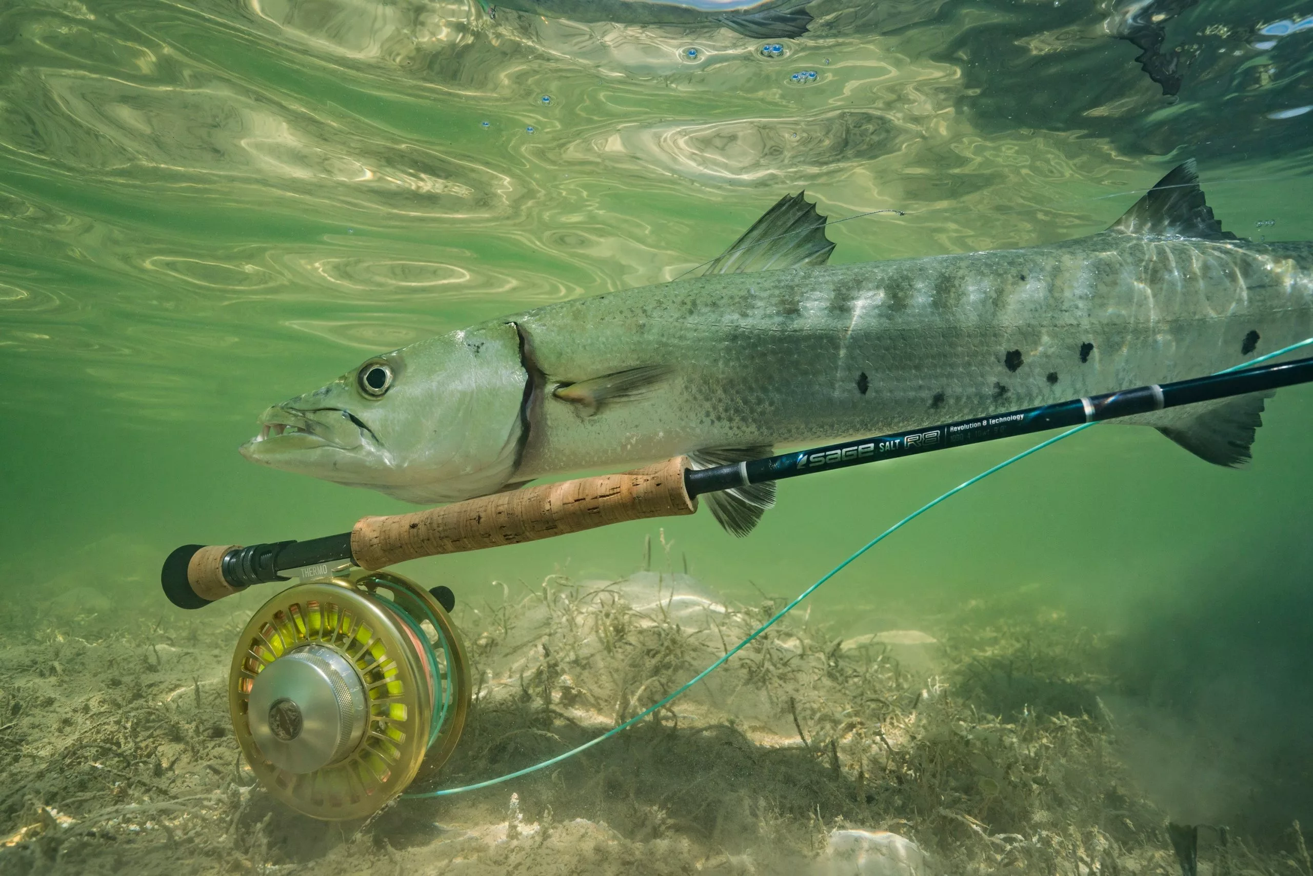 Far Bank Enterprises Sage SALT R8 // Saltwater Fly Rod 14 Far Bank Enterprises Sage SALT R8 // Saltwater Fly Rod - Image 12