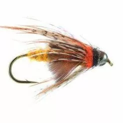 LINES & LEADERS Store -LINES & LEADERS Store SIG0025 Deep Oct Pupa