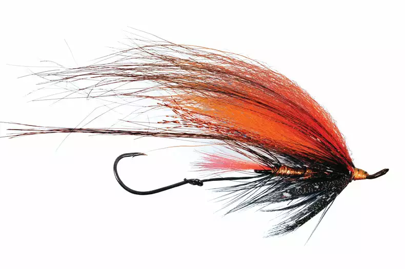 Foxee Dog By Solitude 5 Foxee Dog By Solitude - Image 3