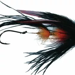 Signature Intruder By Solitude -LINES & LEADERS Store ST078BK