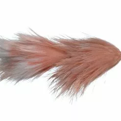 Lady Flesh By Solitude // Flesh Fly