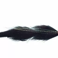 Leech Egg Sucking Articulated By Solitude