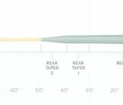 Scientific Anglers // Amplitude Smooth Infinity Salt -LINES & LEADERS Store amp smooth pro