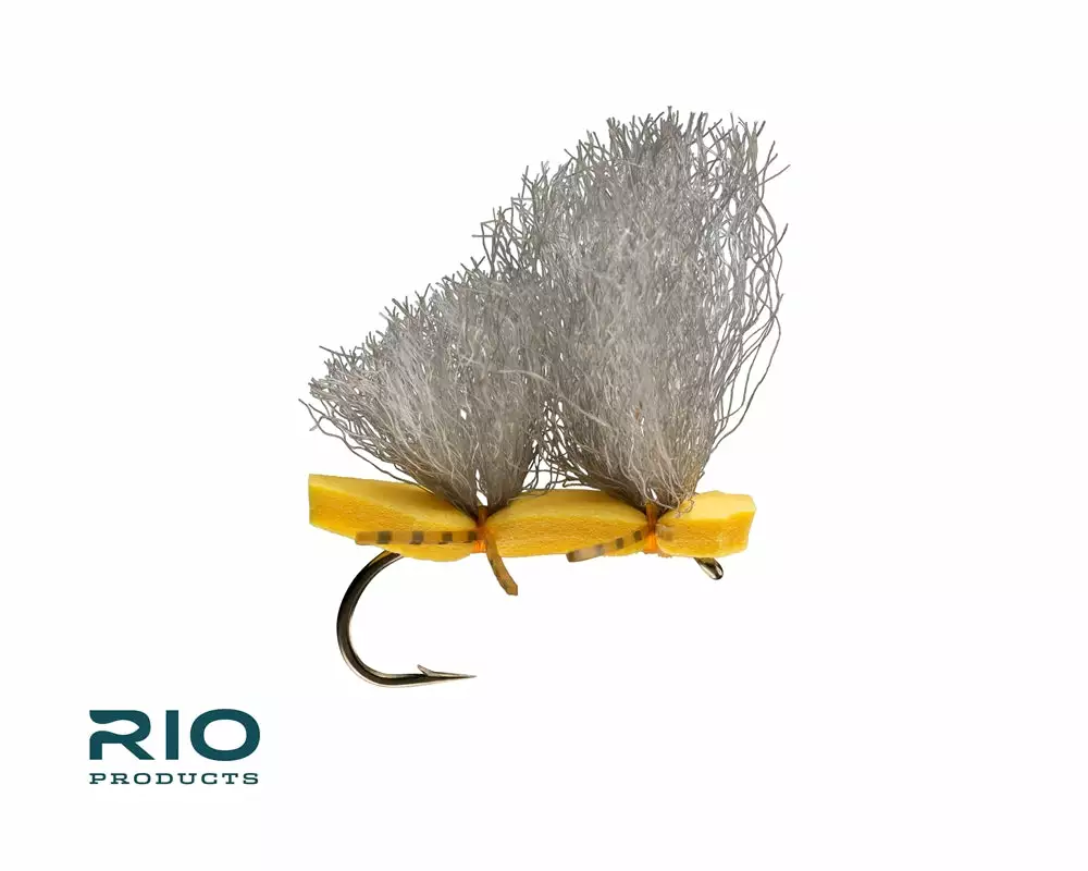 Far Bank Enterprises RIO's Big Boned Caddis // Orange #8 October Caddis 3 Far Bank Enterprises RIO's Big Boned Caddis // Orange #8 October Caddis