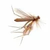 Crane Fly Adult // By Fulling Mill -LINES & LEADERS Store cranebrown