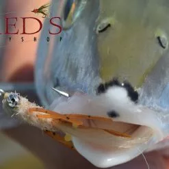 Mantis Shrimp By Umpqua // #1 Bonefish Fly 7 Mantis Shrimp By Umpqua // #1 Bonefish Fly -LINES & LEADERS Store description image Mantis Shrimp Bonefish Fly was the Best Fly scaled