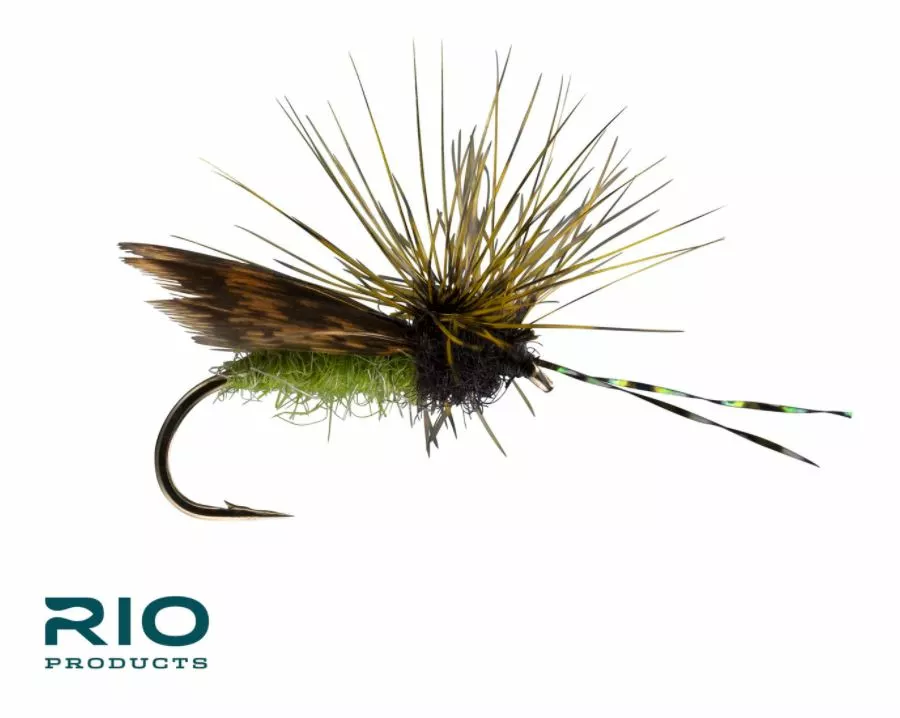 Far Bank Enterprises RIO's Hen Wing Caddis Dry Fly 3 Far Bank Enterprises RIO's Hen Wing Caddis Dry Fly