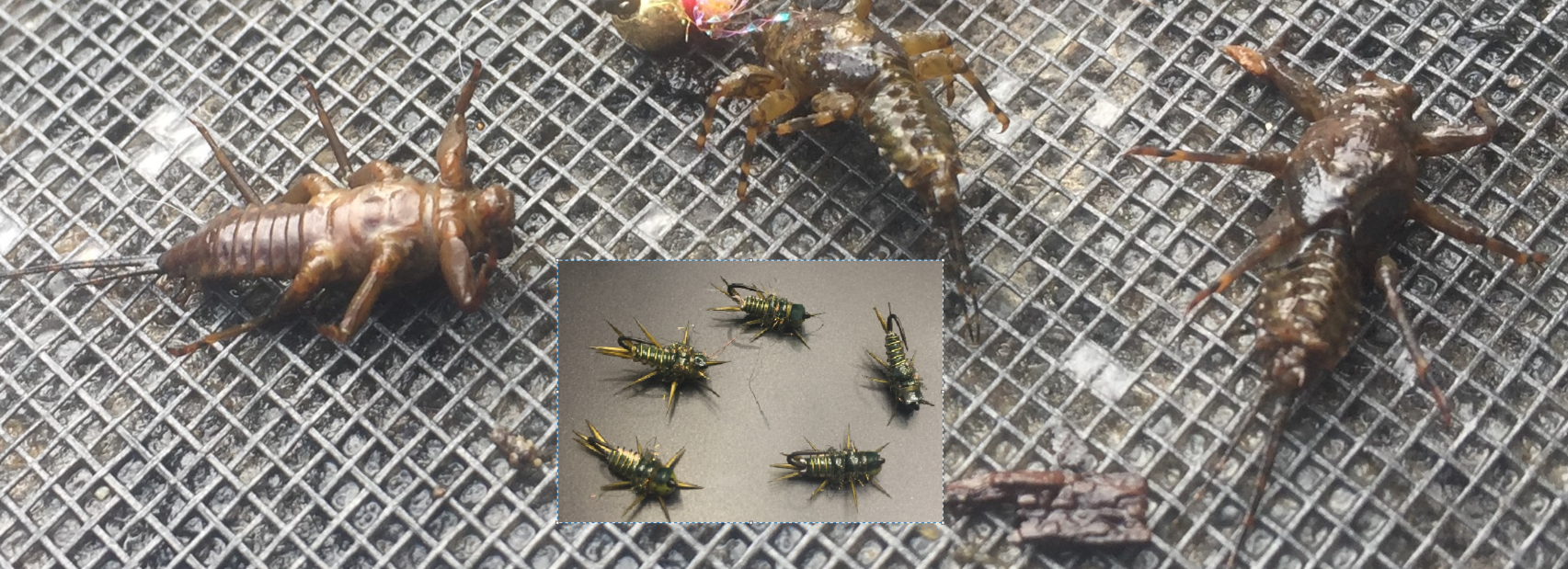 Far Bank Enterprises RIO's Point Drake // Tungsten Jig Anchor Nymph 4 Far Bank Enterprises RIO's Point Drake // Tungsten Jig Anchor Nymph - Image 2