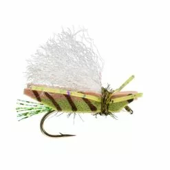 LINES & LEADERS Store -LINES & LEADERS Store olive 37b092a9 5fc9 4536 9bd8 76c091cade45