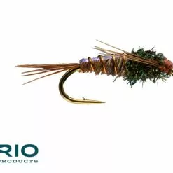 Far Bank Enterprises RIO's Pheasant Tail Nymph // Flashback Non Beadhead