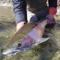 Red's Fly Shop Top 12 Swinging Flies For Steelhead // Deadly Dozen Assortment