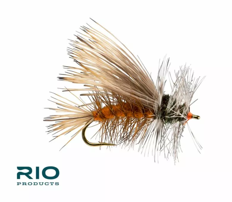 Far Bank Enterprises RIO's Orange Stimulator // October Caddis Dry Fly 3 Far Bank Enterprises RIO's Orange Stimulator // October Caddis Dry Fly