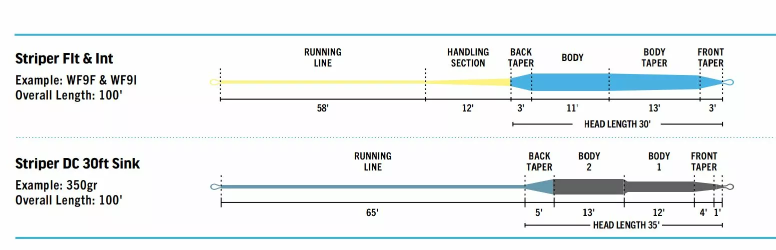 Far Bank Enterprises RIO Premier STRIPER Fly Line 4 Far Bank Enterprises RIO Premier STRIPER Fly Line - Image 2