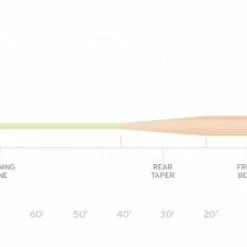 LINES & LEADERS Store -LINES & LEADERS Store taper