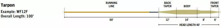 Far Bank Enterprises RIO Premier Tarpon Line 5 Far Bank Enterprises RIO Premier Tarpon Line - Image 3