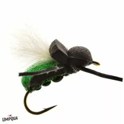 Tim's Beetle // Terrestrial Dry Fly By Umpqua