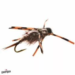 T's Stone - DARK // Tungsten Bead Stonefly Nymph By Umpqua